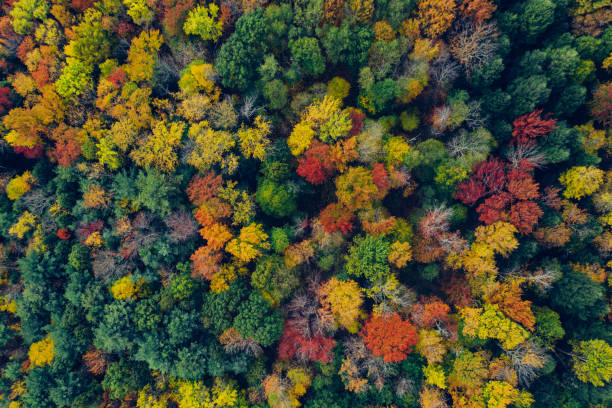 istock Aerial view in Catskill Mountains Preserve 1180528560