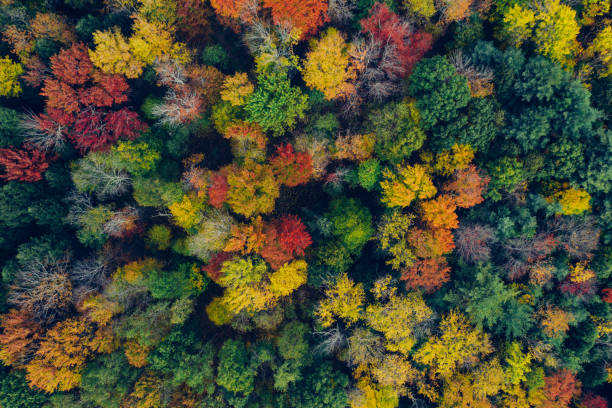 istock Aerial view in Catskill Mountains Preserve 1180528594