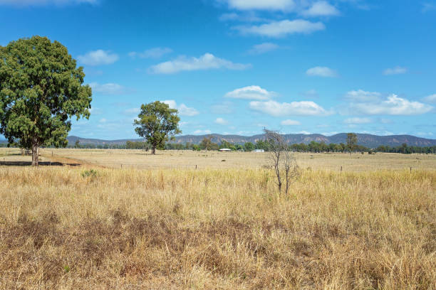 istock Country Homestead On A Station 1180529795