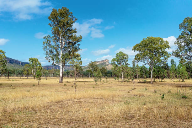 istock Country Scene With Mountain 1180530439