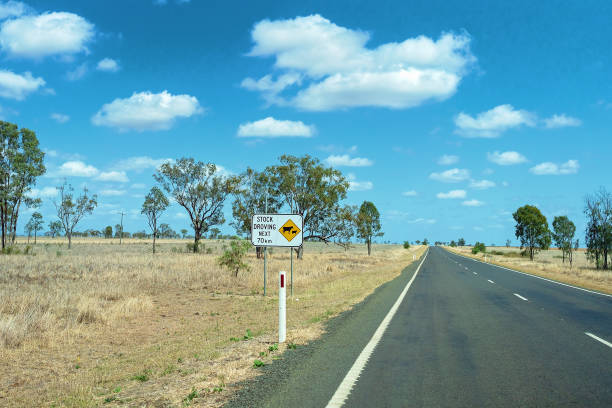 istock Stock Droving Warning Sign 1180530546