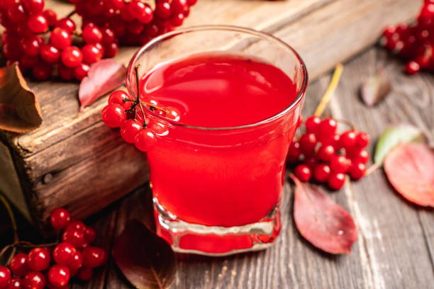 istock Gin based cocktail with viburnum liqueur and berries and autumn decorations on the rustic background 1180535679