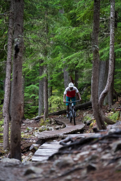 istock Male mountain biking through a forest 1180535737