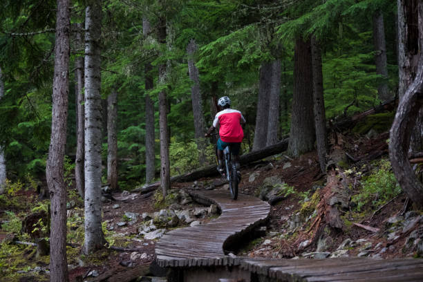 istock Skilled mountain biker riding in the forest 1180535841
