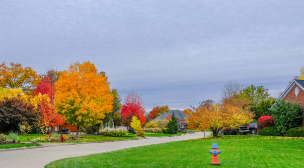 istock Midwestern street with fire hydrant in autumn 1180538549