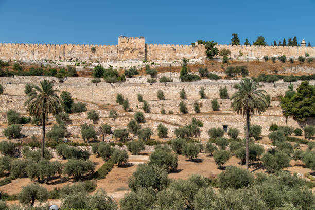 View of the Golden Gate in the Wall from Outside the Old City of Jerusalem View of the Golden Gate in the Wall from Outside the Old City of Jerusalem pool of siloam stock pictures, royalty-free photos & images