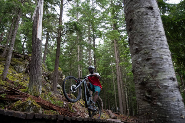istock Skilled mountain biker riding in the forest 1180539281