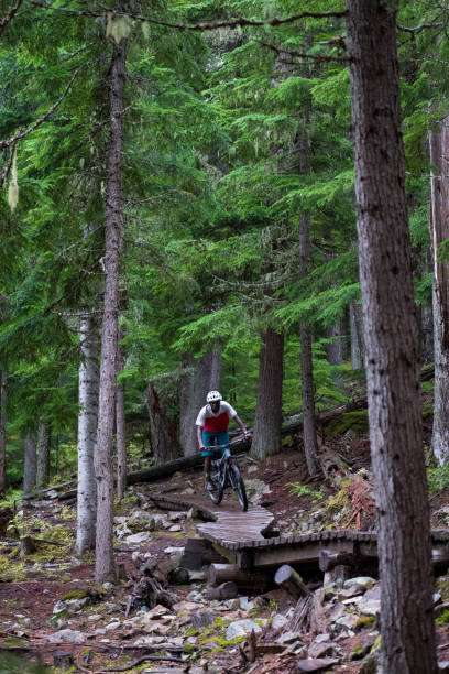 istock Male mountain biking through a forest 1180539883