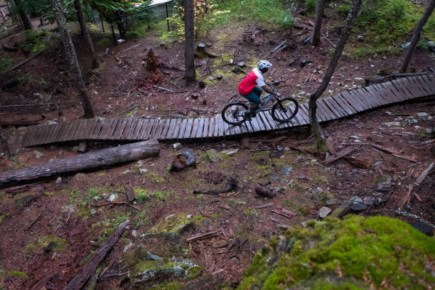 istock Mountain biking along the forest pathways 1180540442