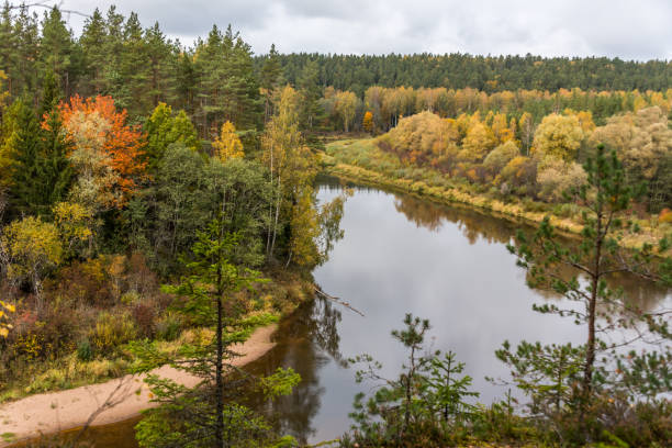 istock Peaceful River in Autumn in Latvia 1180543304