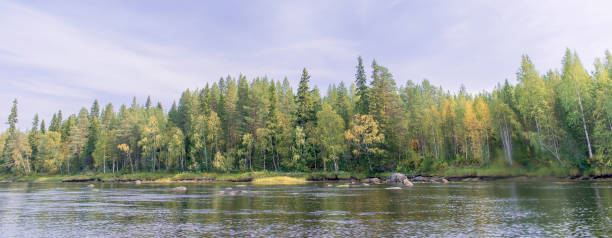 Mountain river with forest on the banks.
