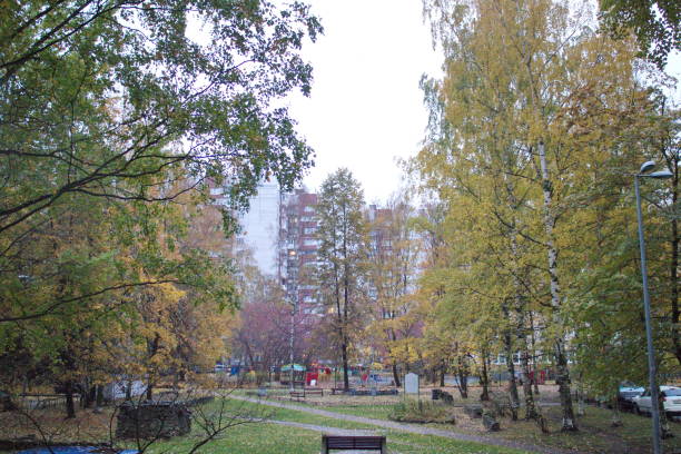 istock Trees with yellow leaves in the city 1180544856