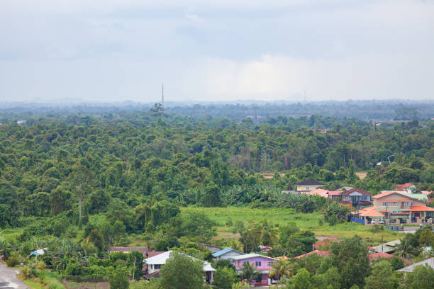istock Forest near Kuching Malaysia landscape 1180547484