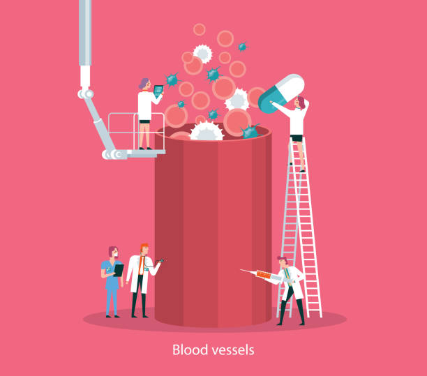 혈액 세포와 혈관 - wbc stock illustrations