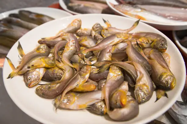 Self-selected small seafish in seafood stores