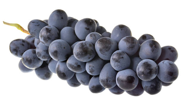 istock Ripe bunch of blue grapes isolated 1180551529