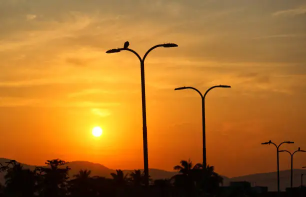 Photo of Beautiful evening sky with birds sitting on street light