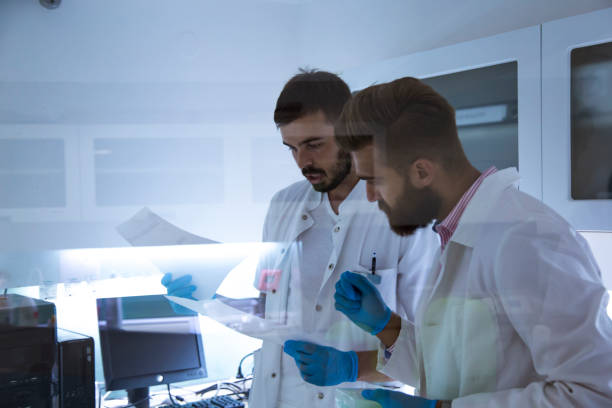Scientists working in laboratory stock photo