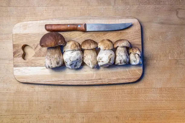 Porcini mushrooms decorated on a snack board