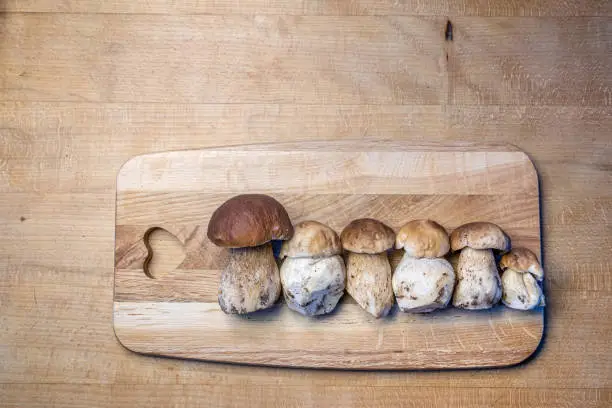 Porcini mushrooms decorated on a snack board