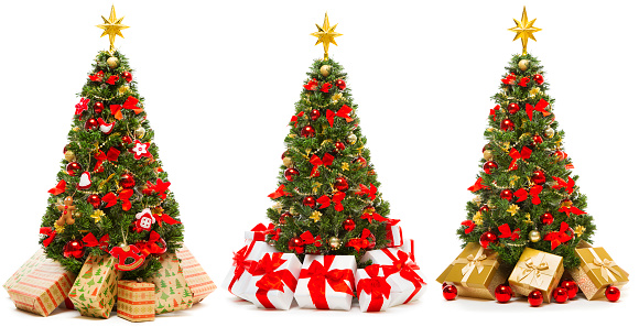 Christmas Tree Isolated over White Background, Set of Decorated Xmas Tree with Present Gifts