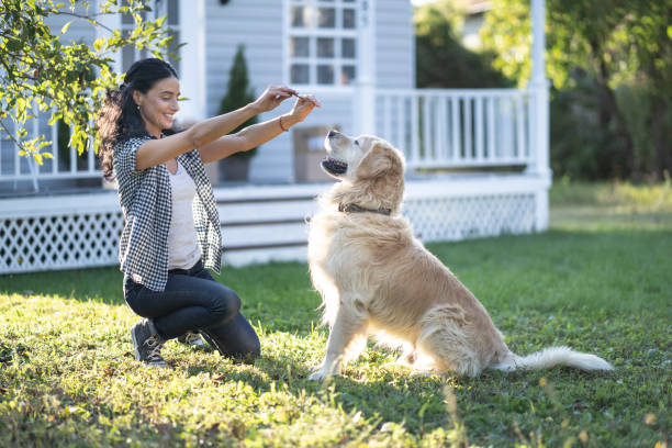 istock Woman training a dog in back yard 1180561594