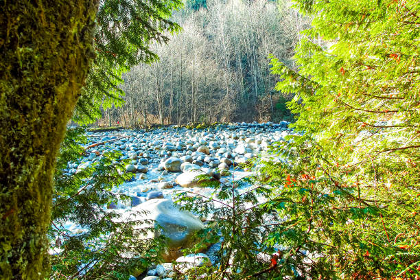 Rosewall Creek Provincial Park with waterfalls, Fanny Bay, near Courtenay, Vancouver Island, British Columbia, Canada