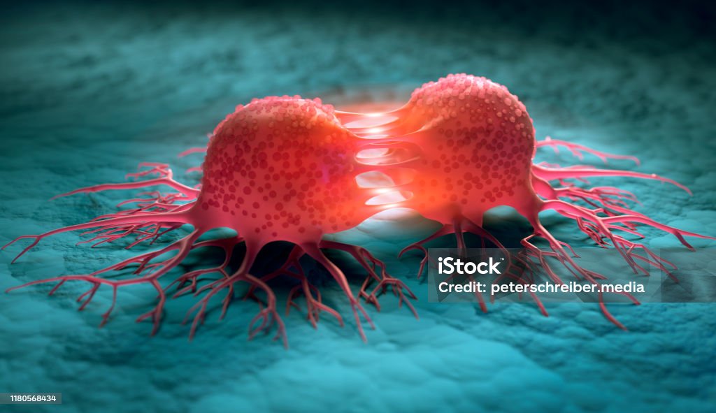 Tumor - Cancer cells reproduction Medical 3D illustration of a dividing cancer cell with a cell surface Cancer Cell Stock Photo