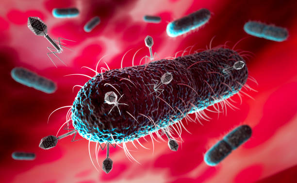 bacterio bajo ataque - bacteriófago fotografías e imágenes de stock