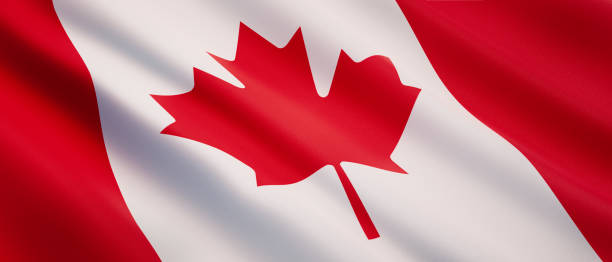 揮舞著加拿大國旗 - 加拿大國旗 個照片及圖片檔
