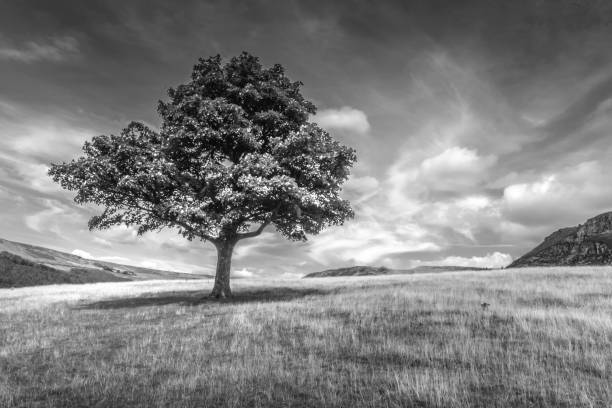 istock Dove Stone Reservoir 1180569336