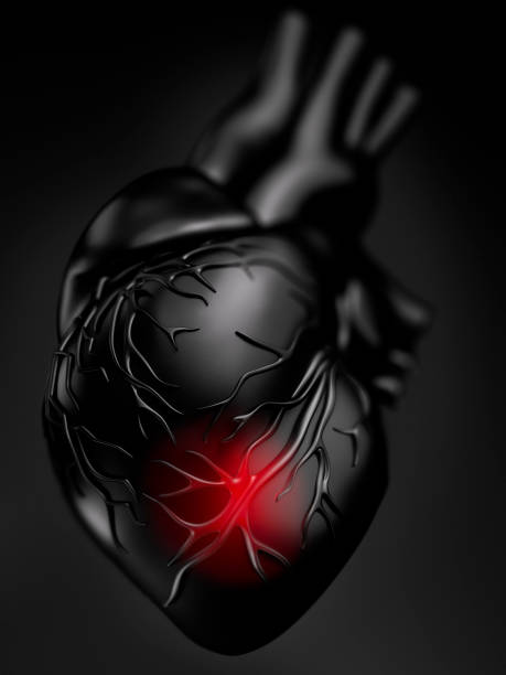 istock Illustration of Human Heart 1180569353