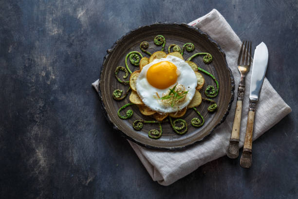 istock Fried egg and stir fried fern sprouts, copy space 1180570113