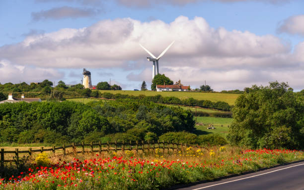 Windmill North East England Landscape with fresh flowers,  windmills and houses  in Hartlepool, UK teesside northeast england stock pictures, royalty-free photos & images