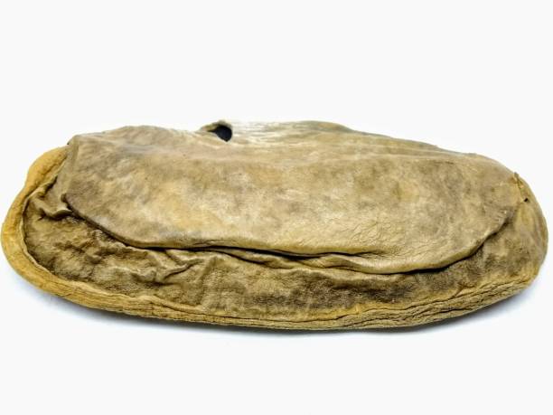 istock A picture of dry mango seed isolated on white background 1180572571