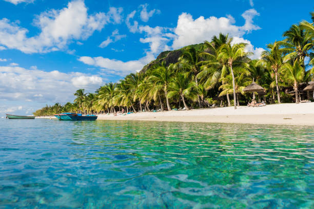 istock Luxury beach in Mauritius. Transparent ocean, white sand beach, palms and blue sky 1180574305