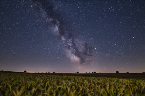 istock Milky way with field in foreground 1180576612