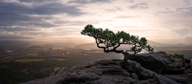 istock beautiful sunrise in Saxon Switzerland 1180576701