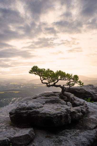 istock beautiful sunrise in Saxon Switzerland 1180576724