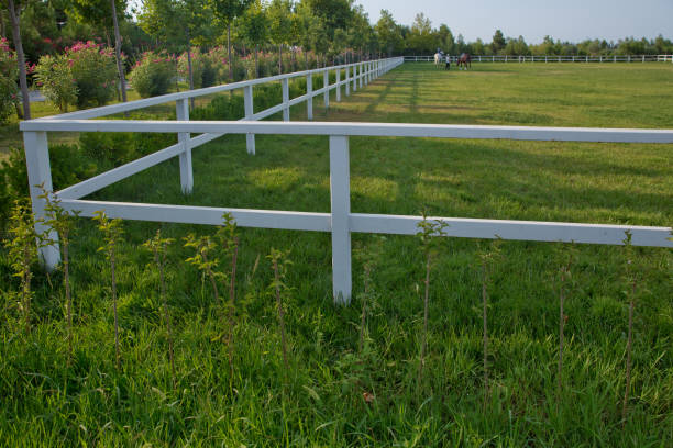 馬の農場の緑の牧草地。馬やライダーなしで空の競馬場競馬場.馬の農場の白いコンクリートフェンス. - picket line 写真 ストックフォトと画像