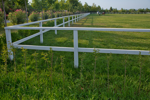 White concrete fence in horse farm field . Green pastures of horse farms. Empty racing track racecourse without horses and riders