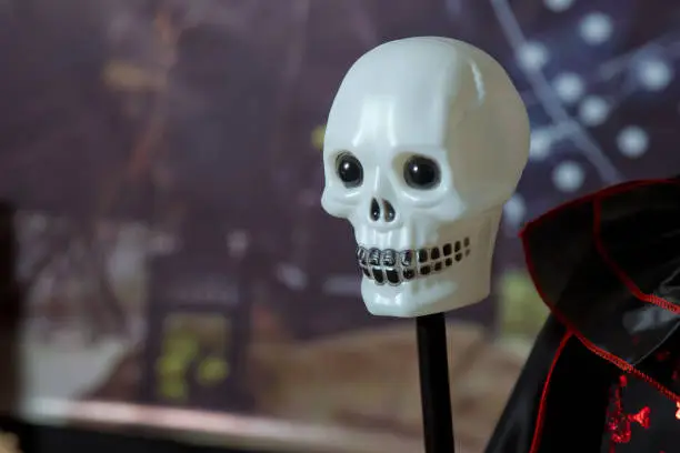 Photo of white skull head . Halloween fake skulls on a iron spike pole .