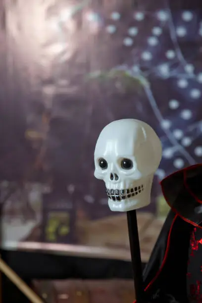 Photo of white skull head . Halloween fake skulls on a iron spike pole .