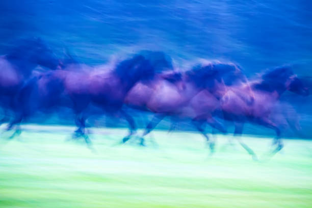 istock Absract nature. Running wild horses. Motion blur background. 1180578176