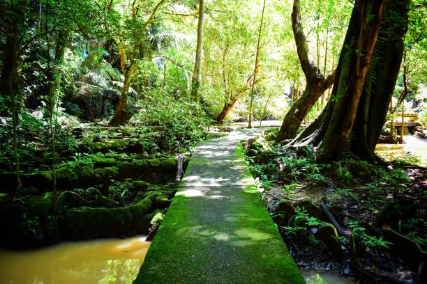 istock Thanbok Khoranee National Park 1180579315