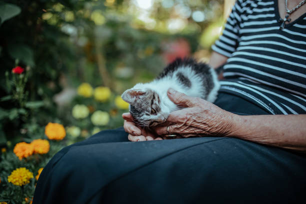 istock Senior Woman Gardener 1180580354