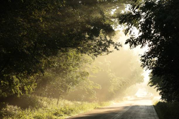 istock Rural road during sunrise 1180580699
