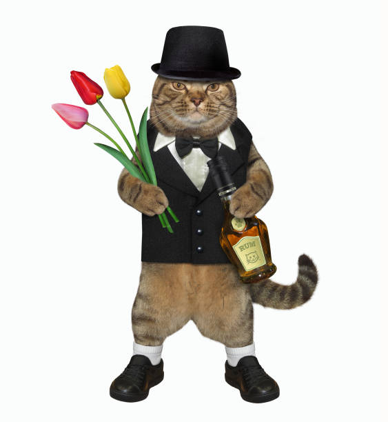 istock Cat gentleman with rum and tulips 1180584108