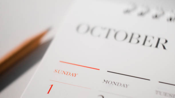 istock Brown pencil on white calendar planning concept. 1180590140