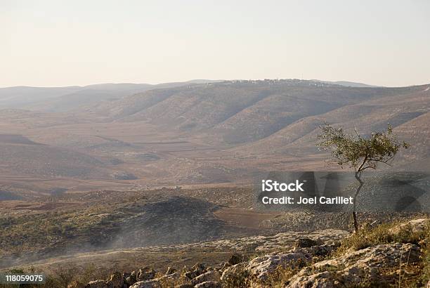 Olive Tree Y Cisjordania Hills Cerca De Nablus Palestina Foto de stock y más banco de imágenes de Israel